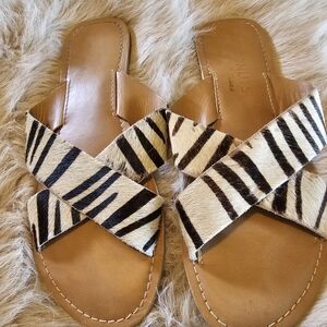 Coconuts by Matisse Tan Zebra Print Sandals